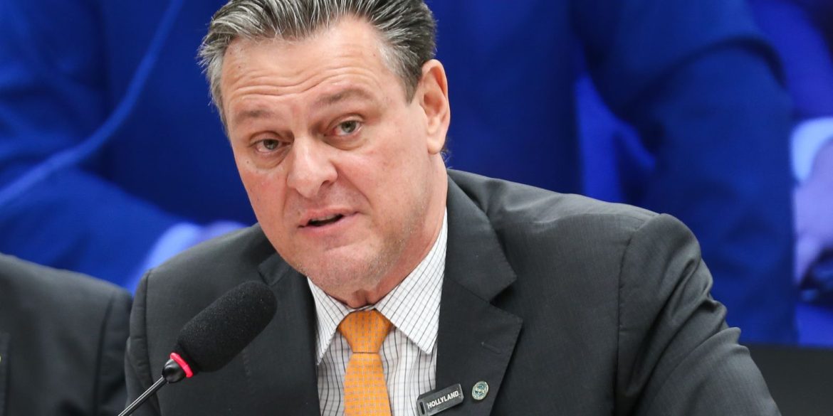 gripe-aviaria-nao-deve-impactar-preco-da-carne-de-frango,-diz-ministro