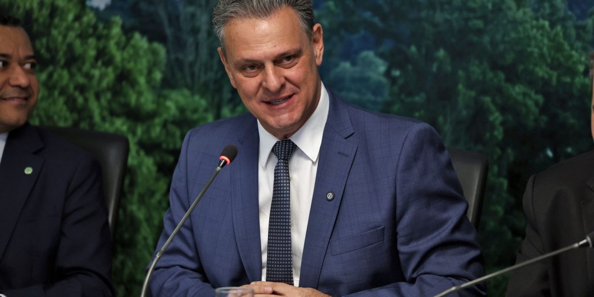 brasil-pode-retomar-exportacoes-de-carne-de-frango-em-28-dias