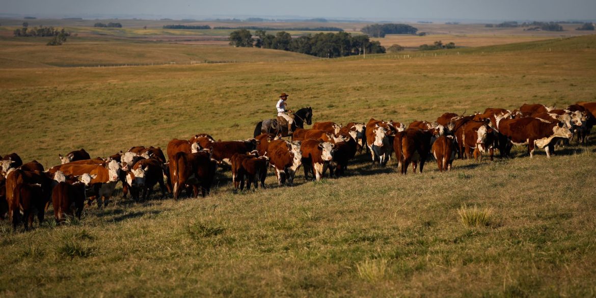 pib-cresce-1,4%-no-primeiro-trimestre-de-2025