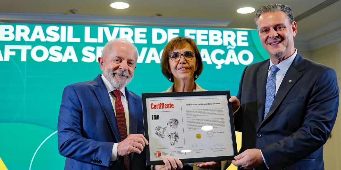 lula-recebe-certificado-de-pais-livre-da-febre-aftosa