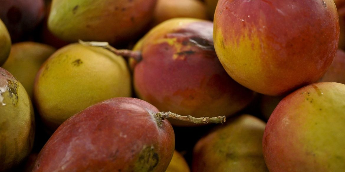 abrafrutas-apoia-plano-e-pede-atencao-a-pequenos-produtores